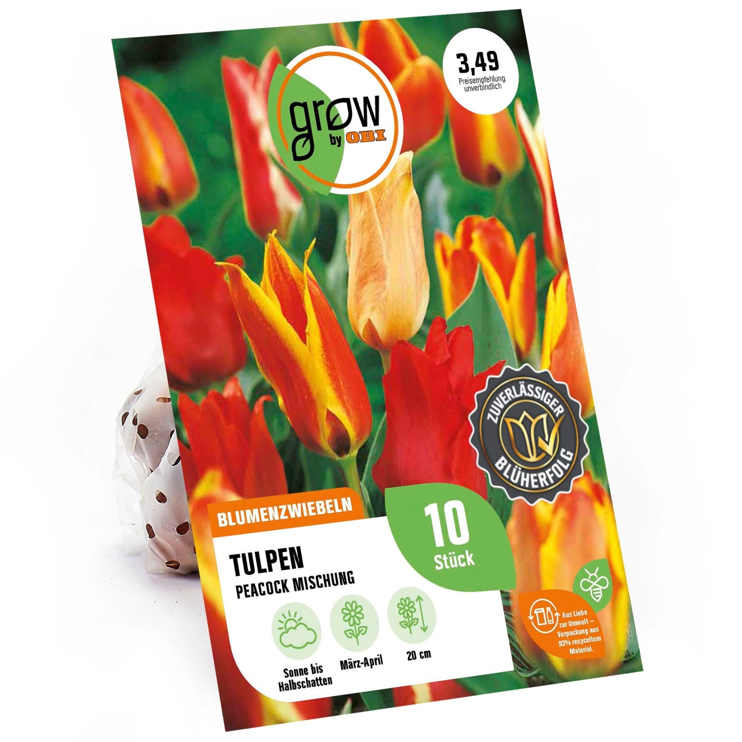 GROW by OBI Tulpen Peacock Mischung 8 Stück Tulipa peacock Mixed günstig online kaufen