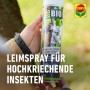 Compo Bio Raupen & Ameisen Leimspray 400ml für biologische Schädlingsbekämpfung.