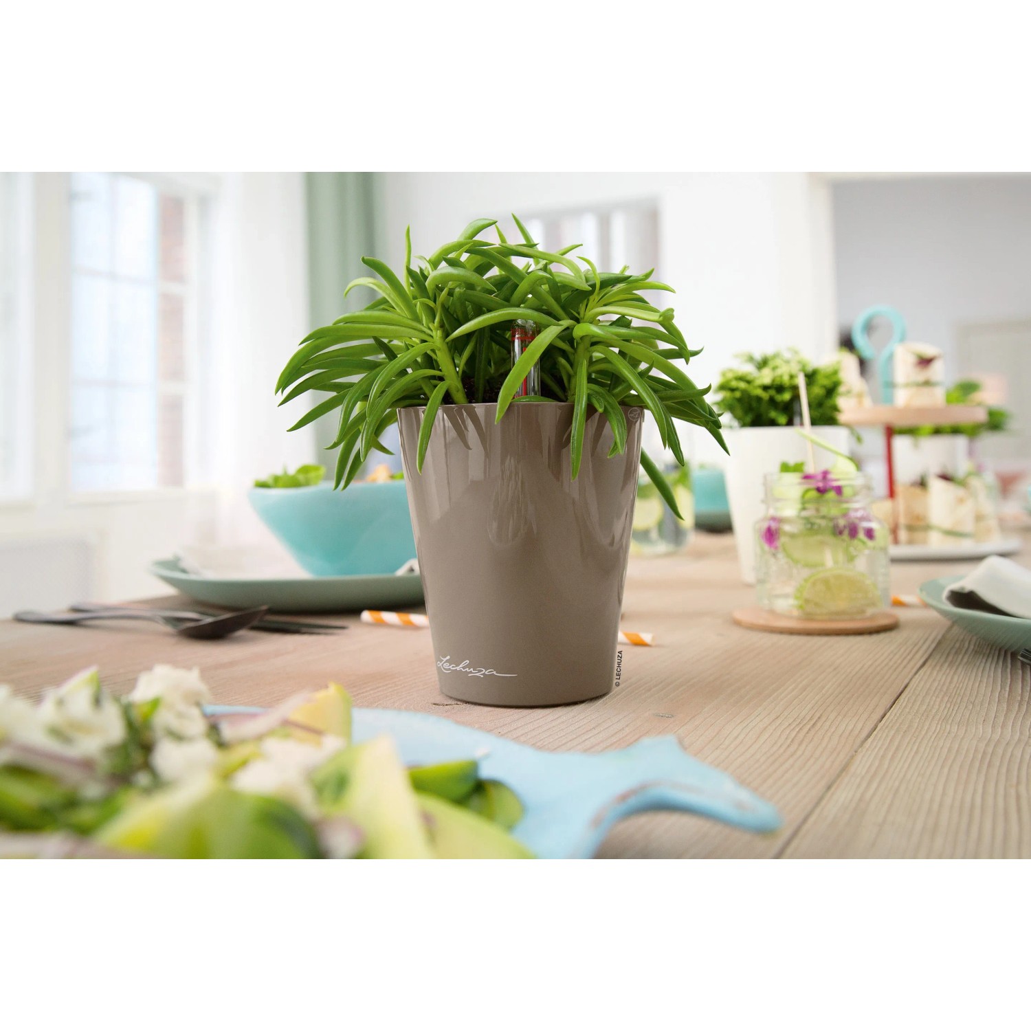 Lechuza Mini-Deltini Pflanzgefäß, taupe, hochglänzend, Ø 10 cm, mit grüner Pflanze auf Tisch.