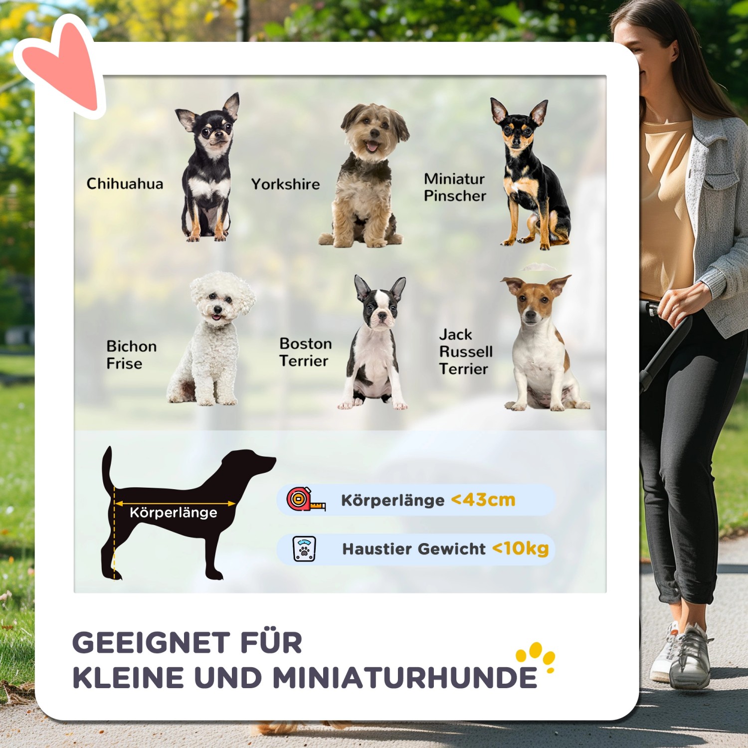 Infografik: Geeignete Hunderassen und Größen für PawHut Hundewagen (max. 43cm/10kg).