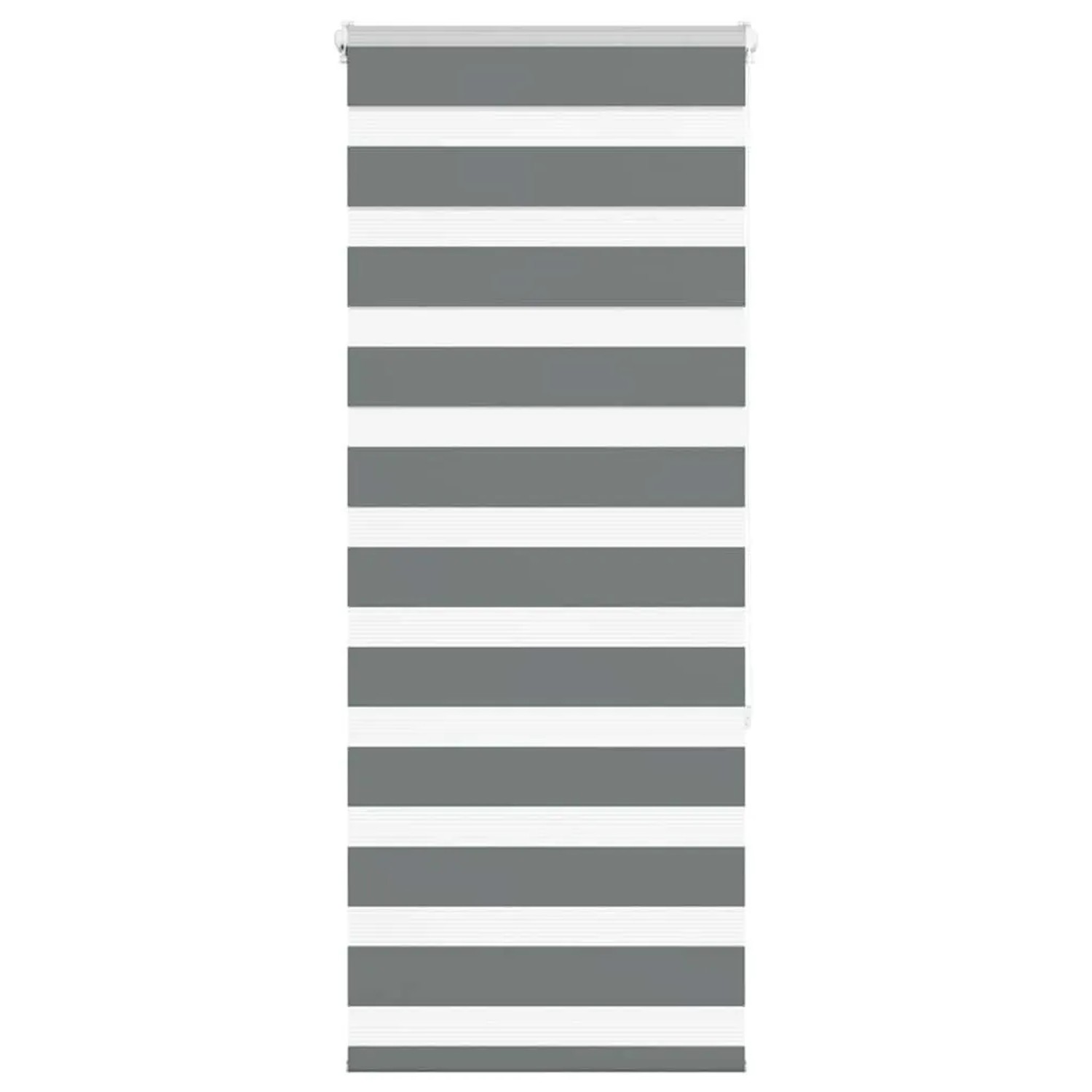 vidaXL Doppelrollo Dunkelgrau 55x150 cm Stoffbreite 50,9 cm Polyester 40141 günstig online kaufen