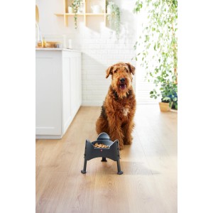 Rotho Futternapf Sammy, höhenverstellbar, 1,02 l, anthrazit, mit Hund.