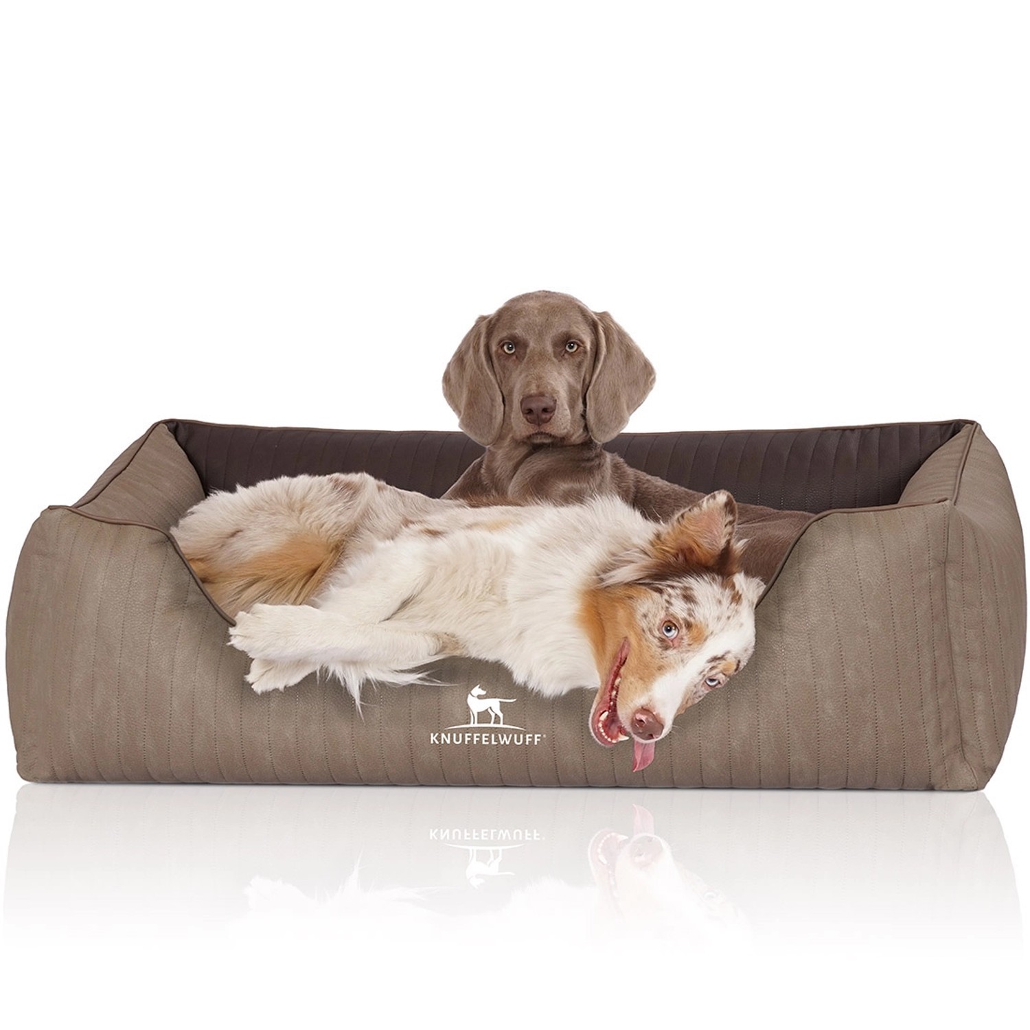 Knuffelwuff Hundebett Outlander XL in Natur/Braun mit zwei Hunden.