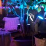 Philips Hue Lily LED-Gartenstrahler, 1-flammig, schwarz, mit farbigem Licht im Garten.