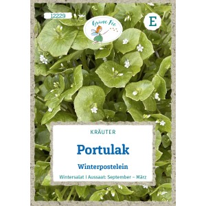 Grüne Fee Portulak Winterpostelein Saatgut für ca. 250 Pflanzen.