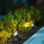 Zwei anthrazitfarbene Trio Gartenstrahler Ubangi beleuchten Büsche im Garten.