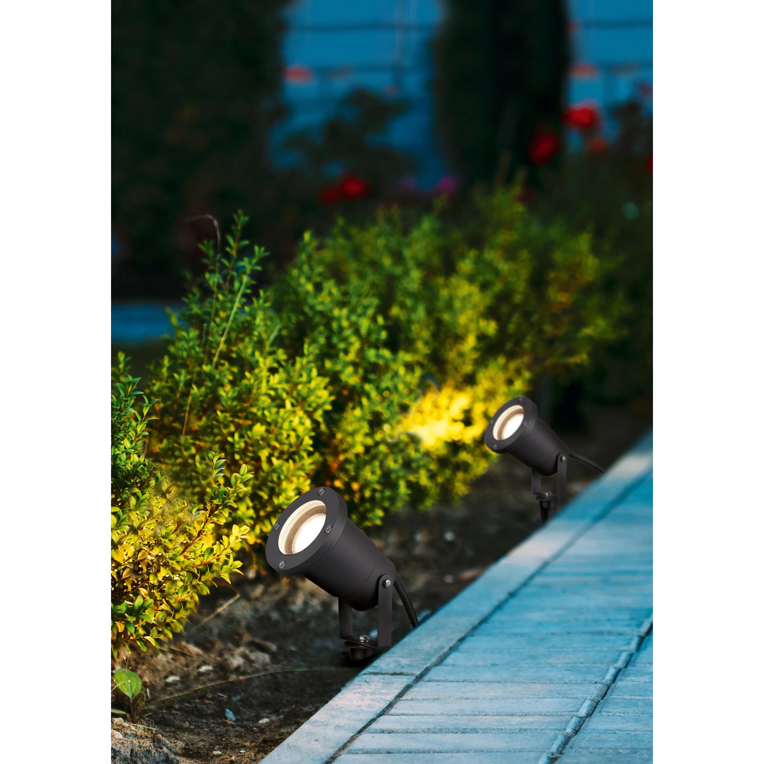 Zwei anthrazitfarbene Trio Gartenstrahler Ubangi beleuchten Büsche im Garten.