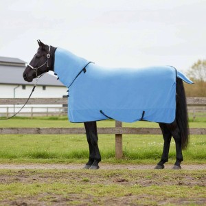 Dunkles Pferd trägt hellblaue vidaXL Pferdedecke mit Halsteil im Freien. Ideal für Pferdepflege im Winter.