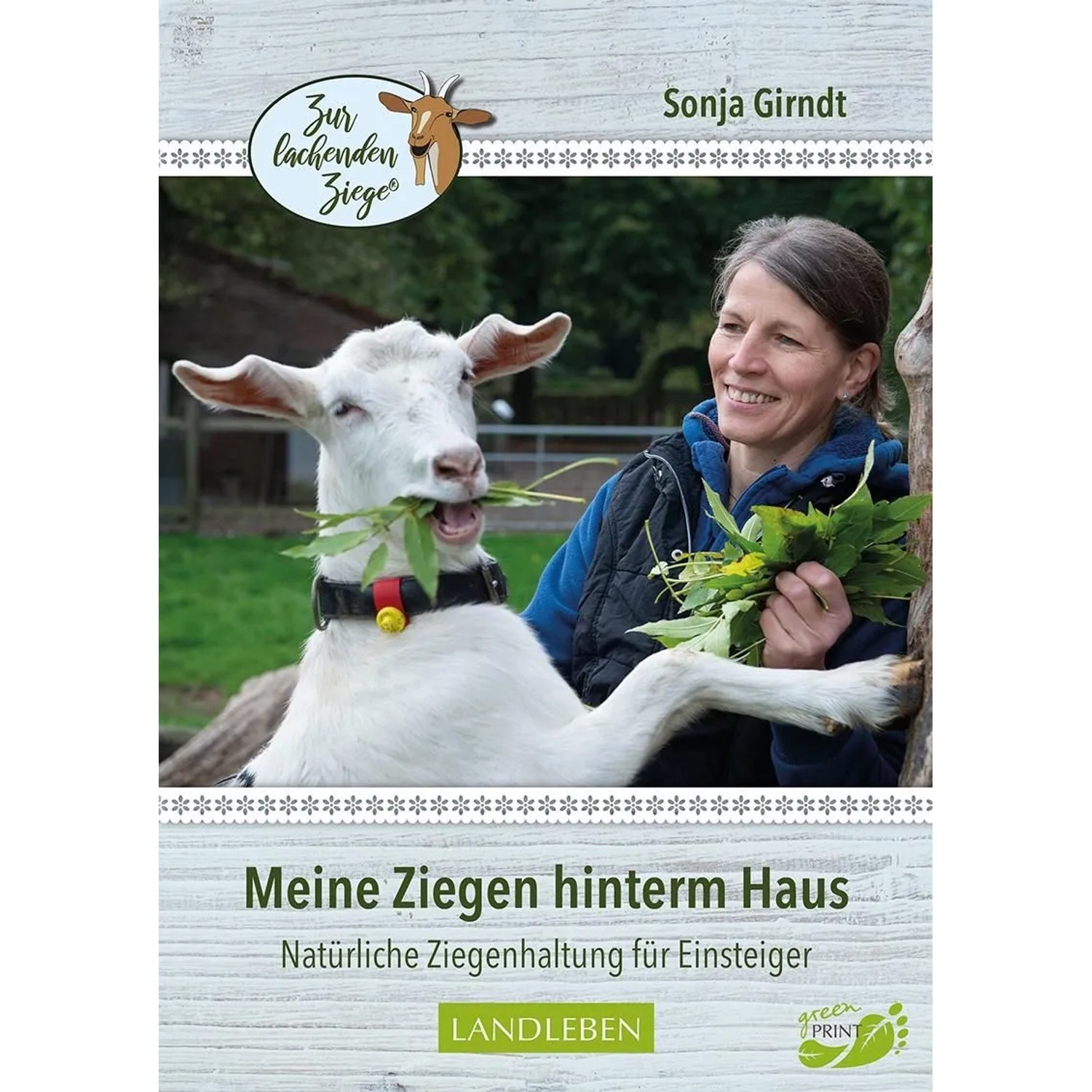 Meine Ziegen hinterm Haus