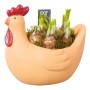 Osterglocken-Arrangement im Huhn-Gefäß, Topf-Ø ca. 21 cm, bepflanzte Schale für den Außenbereich.