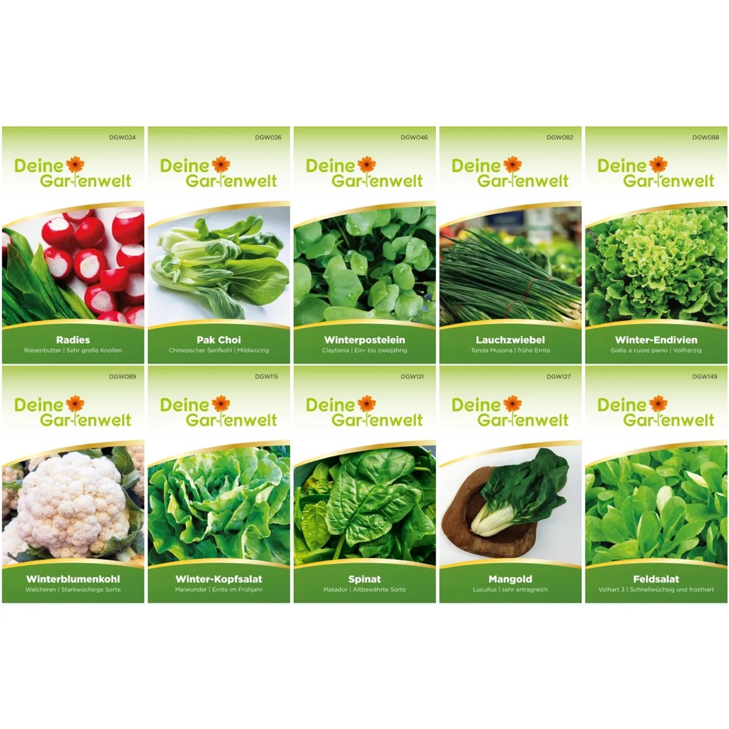 Deine Gartenwelt Wintergemüse Samen-Set mit 10 Sorten: Radieschen, Pak Choi, Spinat u.v.m.