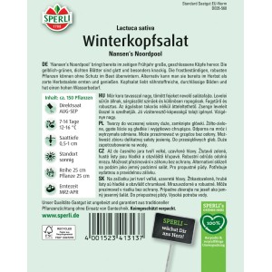 Samenpackung Sperli Winterkopfsalat Nansen's Noordpool. Winterharte Salatsorte für die Aussaat im August/September.