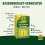 Compo Banvel Quattro Rasenunkraut-Vernichter, geeignet zum Spritzen und Gießen. Bekämpft 37 Unkräuter wurzeltief.