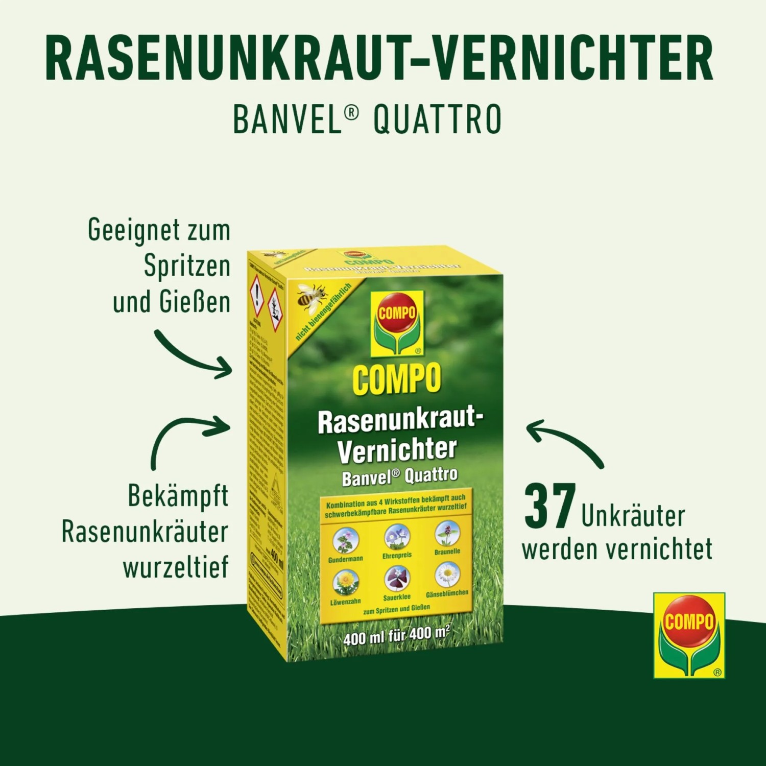 Compo Banvel Quattro Rasenunkraut-Vernichter, geeignet zum Spritzen und Gießen. Bekämpft 37 Unkräuter wurzeltief.