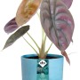 Elho Blumentopf Ocean Collection, Ø 14 cm, Atlantikblau, aus recyceltem Meeresabfall.