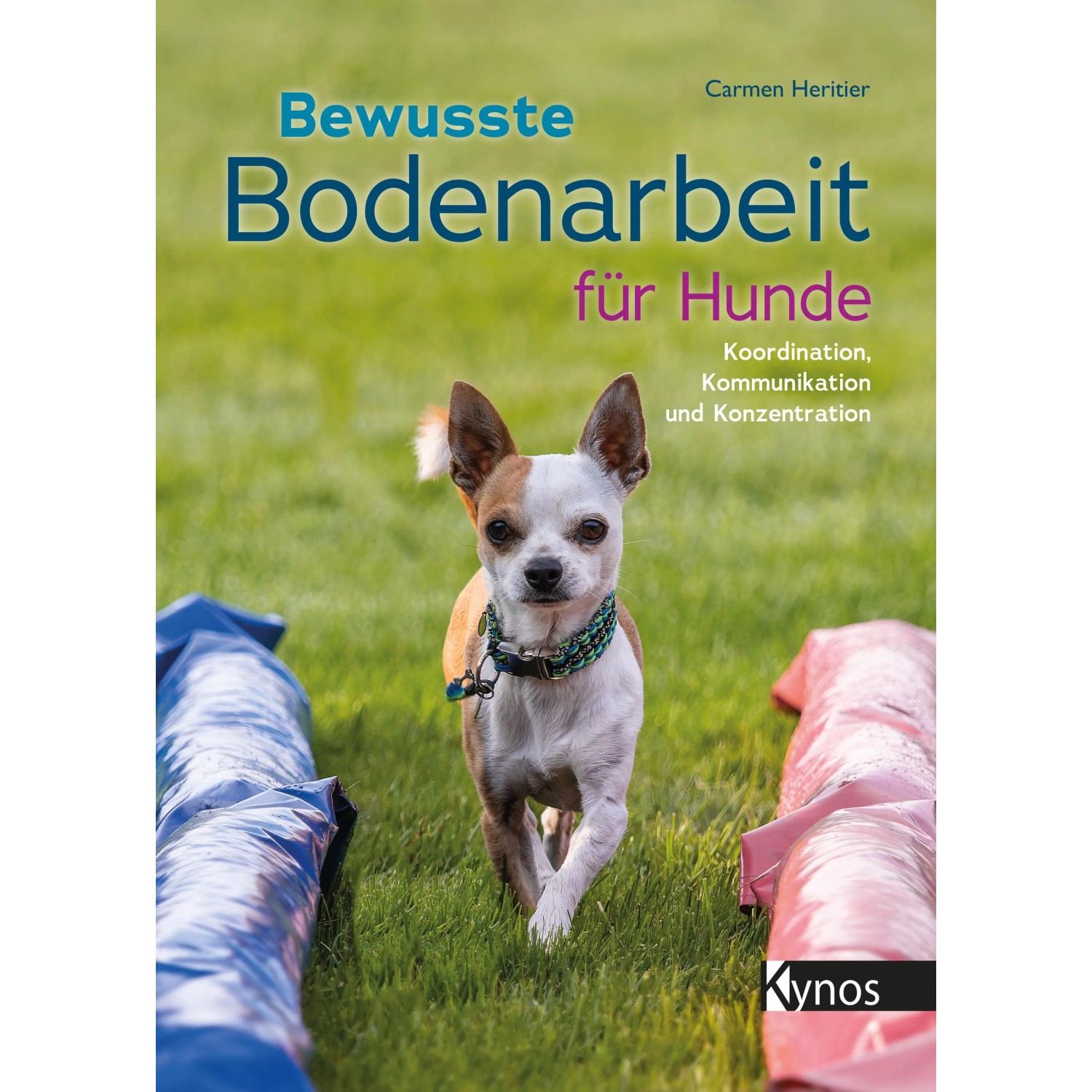 Bewusste Bodenarbeit für Hunde