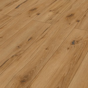 Classen HydroClick Vinylboden Steineiche: Detailansicht der Holzoptik und Struktur.