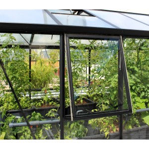 Vitavia Seitenfenster Z mit ESG, schwarzer Rahmen, geöffnet im Gewächshaus.