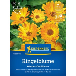 Kiepenkerl Ringelblume Wiesen-Goldblume: Orangefarbene Blüten auf der Samenpackung.