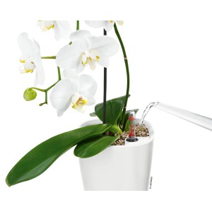 Lechuza Deltini Pflanzgefäß, weiß, mit Orchidee und Bewässerungssystem.