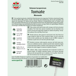 Sperli Tomaten Marmande Samenpackung, Fleischtomate für den Garten.