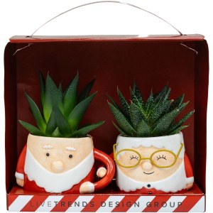 Sukkulenten in Weihnachtspaar-Keramik Topf-Ø ca. 6 cm