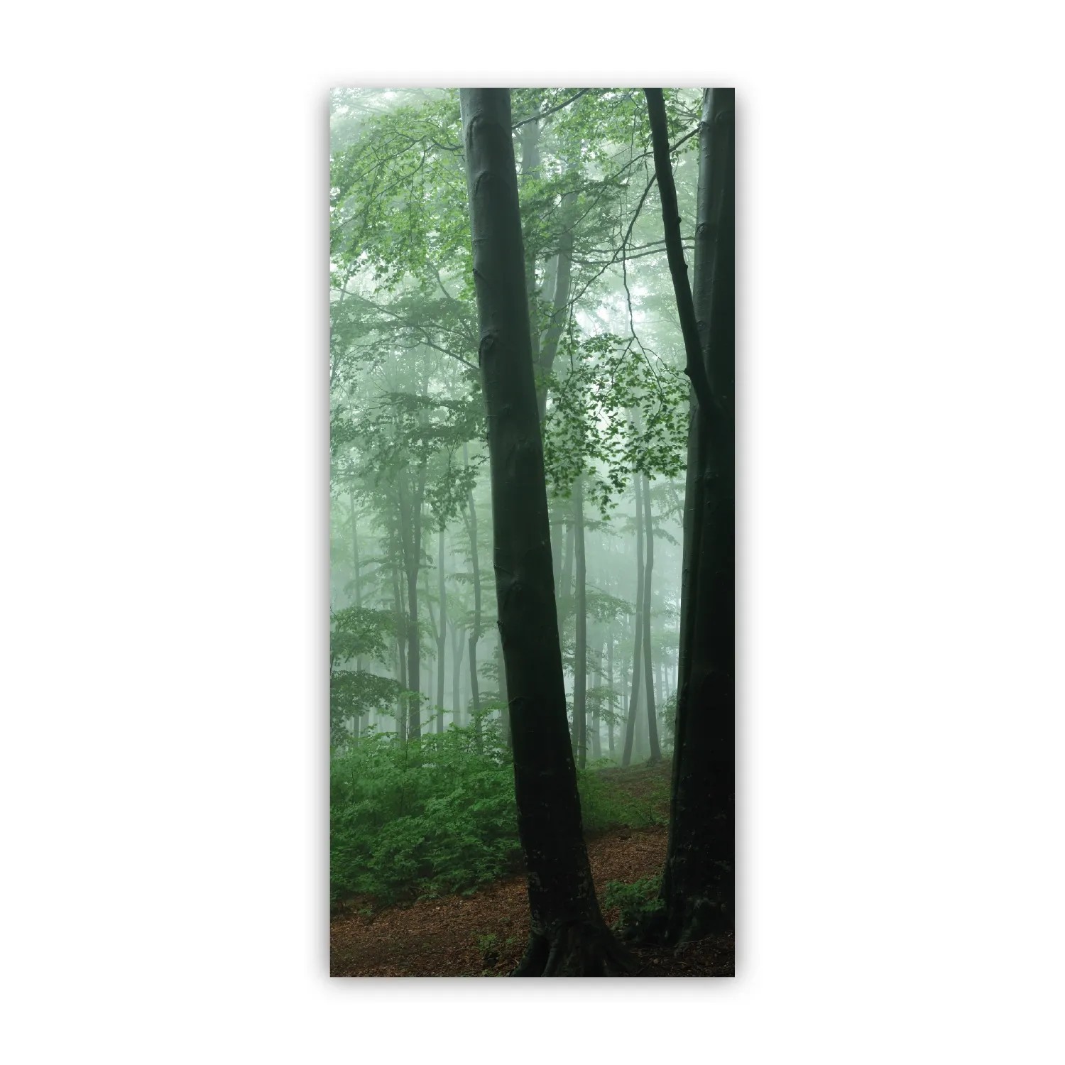Walllux Duschrückwand Nebel im Wald Alu-Verbund 3 mm 90 x 200 cm
