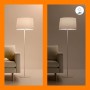 WiZ LED Lampe E27, dimmbares Licht in Glühlampenform, 8W, 2er-Pack. Smarte Beleuchtung für Ihr Zuhause.