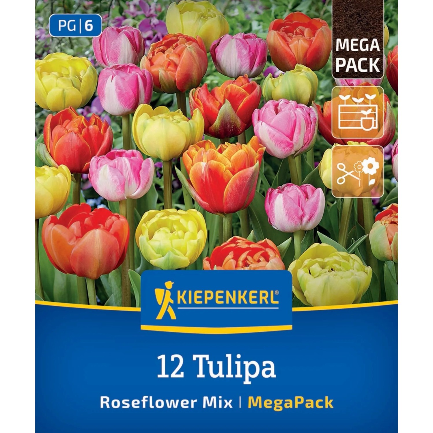 Kiepenkerl Blumenzwiebel Mega-Pack Gefüllte späte Rosentulpen-Mischung 12 Stück
