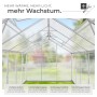 Tectake Gewächshaus mit Fundament, Aluminiumrahmen, transparent. Innenansicht mit Dachfenstern.