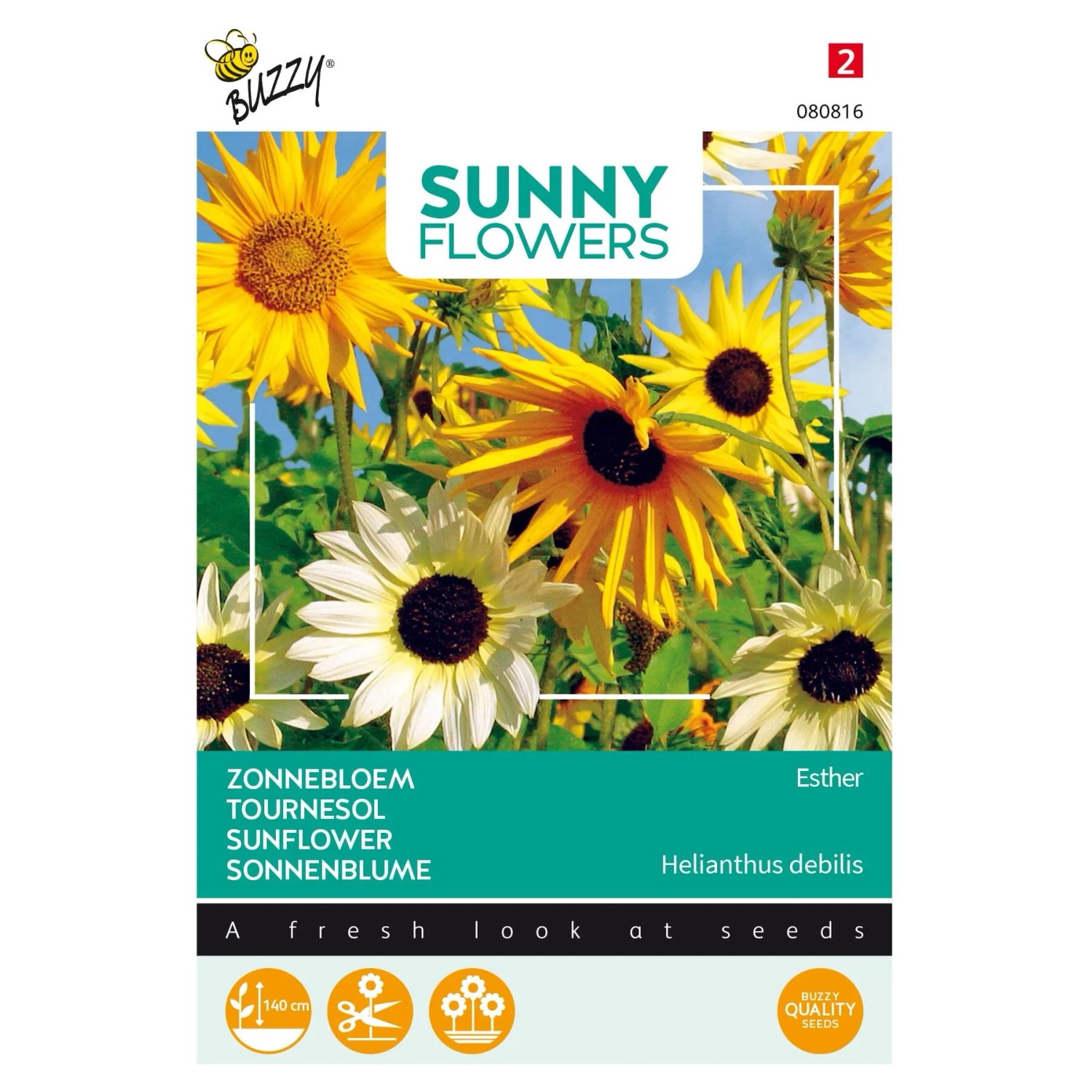 Sonnenblume 'Esther' Buzzy Sunny Flowers Samen Ca. 1 g Für Voranzucht und Freiland