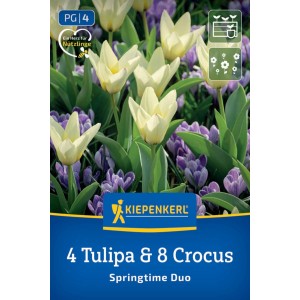 Kiepenkerl Blumenzwiebel Duo-Mix Springtime mit weißen Tulpen und lila Krokussen. Ideal für Garten und Kübel.