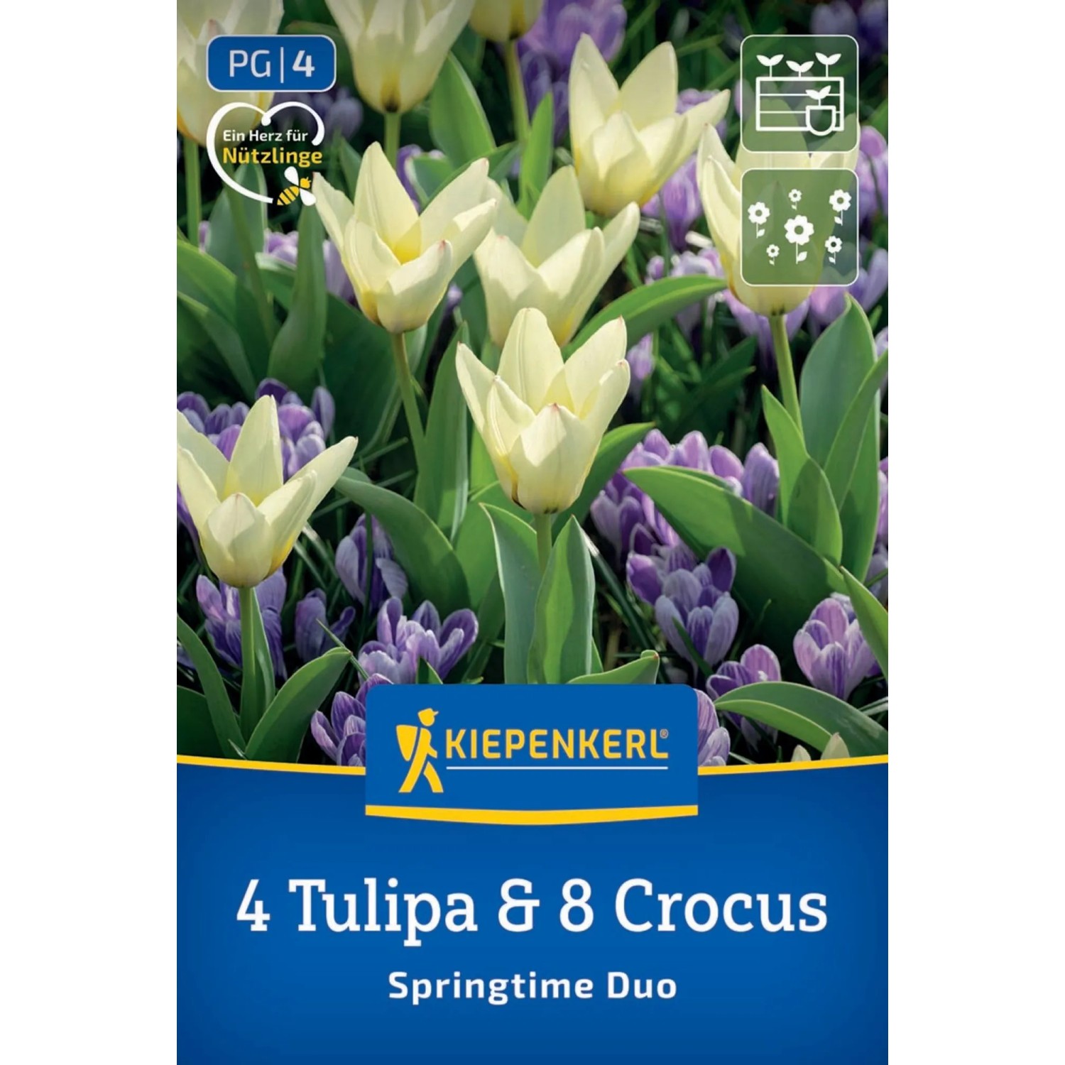 Kiepenkerl Blumenzwiebel Duo-Mix Springtime 12 Stück
