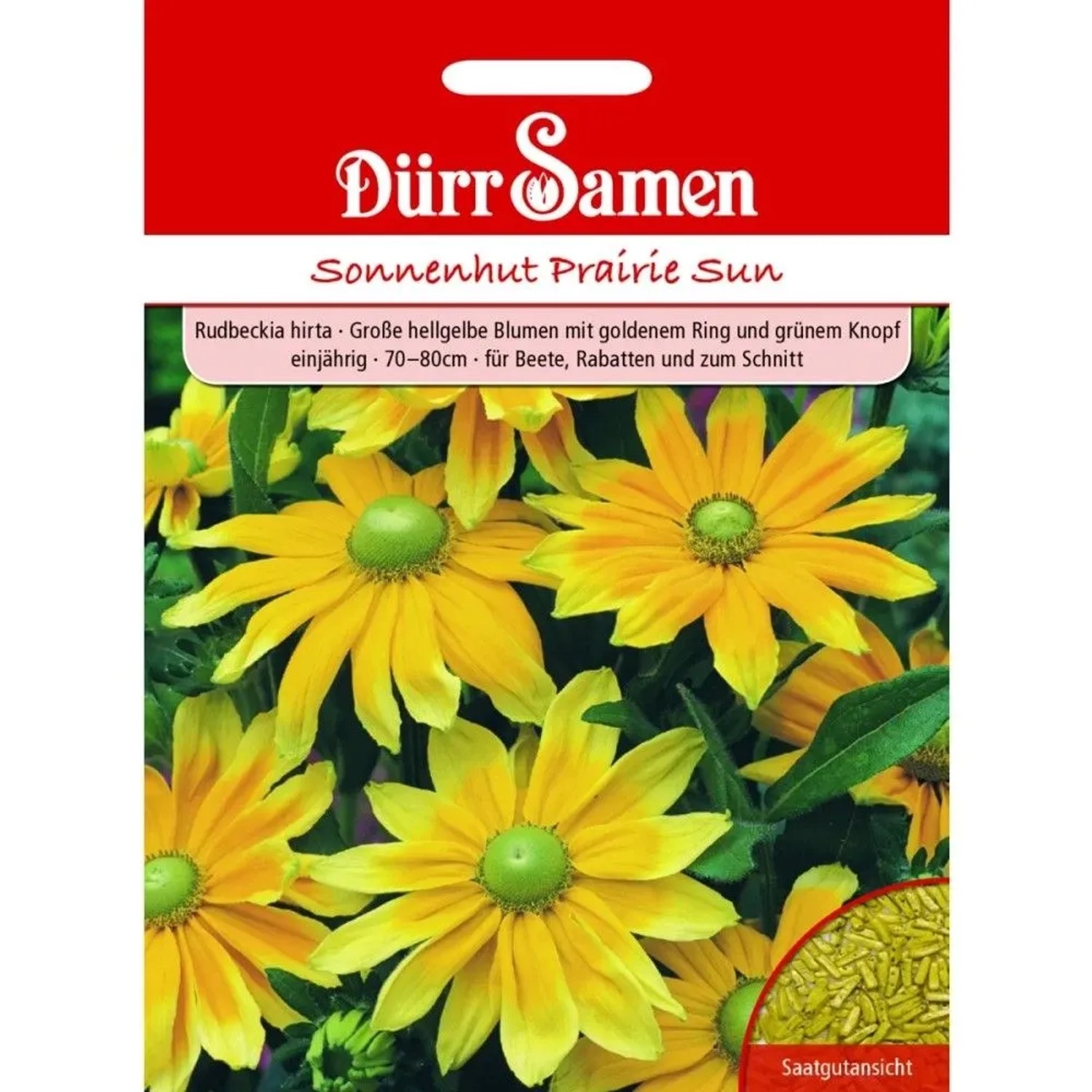 Dürr Samen Sonnenhut Prairie Sun Hellgelbe Blüten Einjährig Saatgut