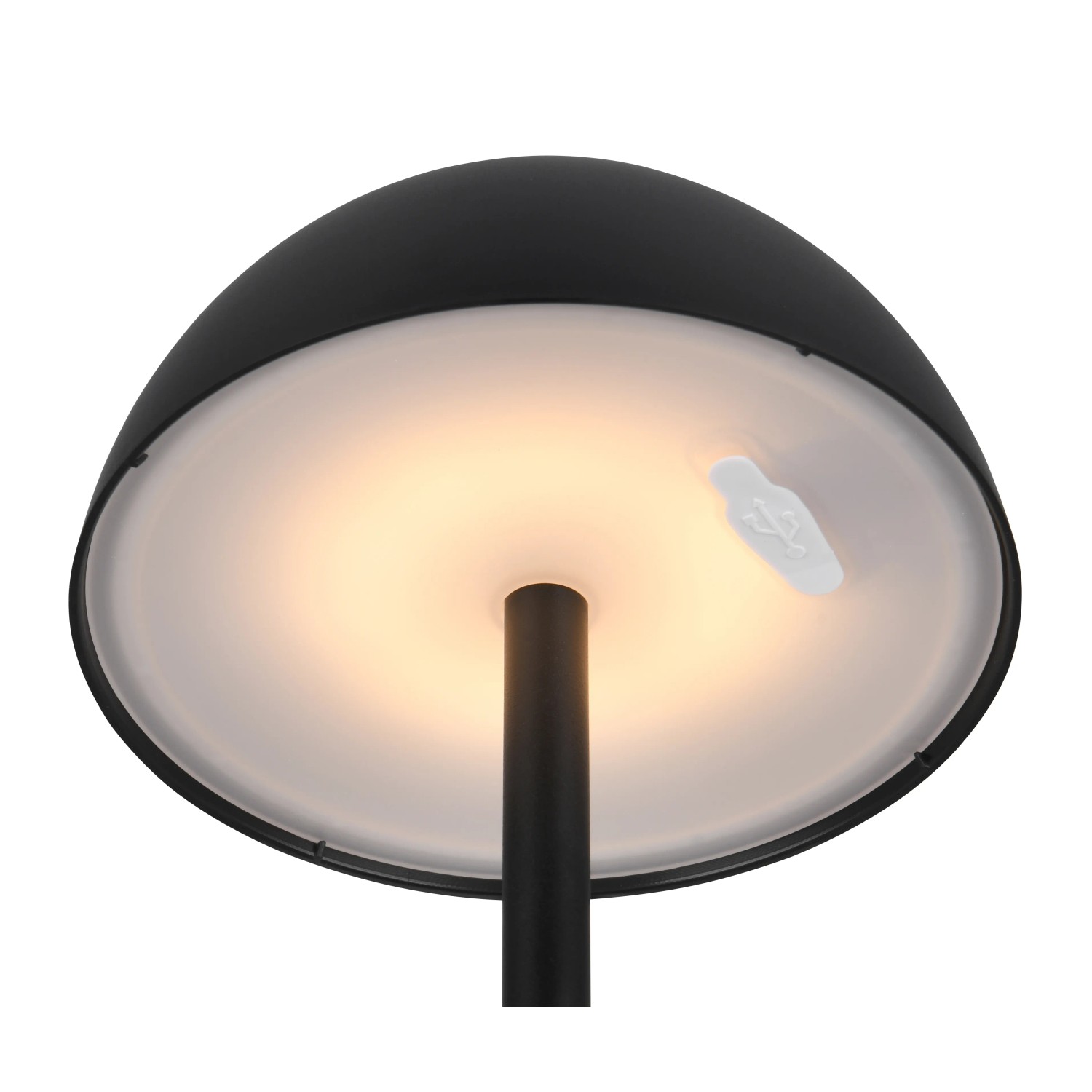Schwarze Reality LED-Tischleuchte Ricardo, dimmbar, mit USB-Anschluss.