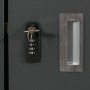 Detailaufnahme: Mülltonnenbox MCW E83 Anthrazit, Schloss mit Schlüssel und Zahlencode, Griffmulde.