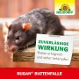 Dunkle Ratte auf Holz, bewirbt Neudorff Sugan Rattenfalle für effektive und sichere Rattenbekämpfung.