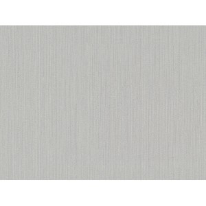 Vliestapete Spot 2 Uni Grau, schlichte graue Tapete mit feiner Struktur für Wohnräume.