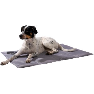 Graue Kühlmatte für Hunde (99,5x70cm) mit Pfotenmuster. Hund liegt entspannt darauf.