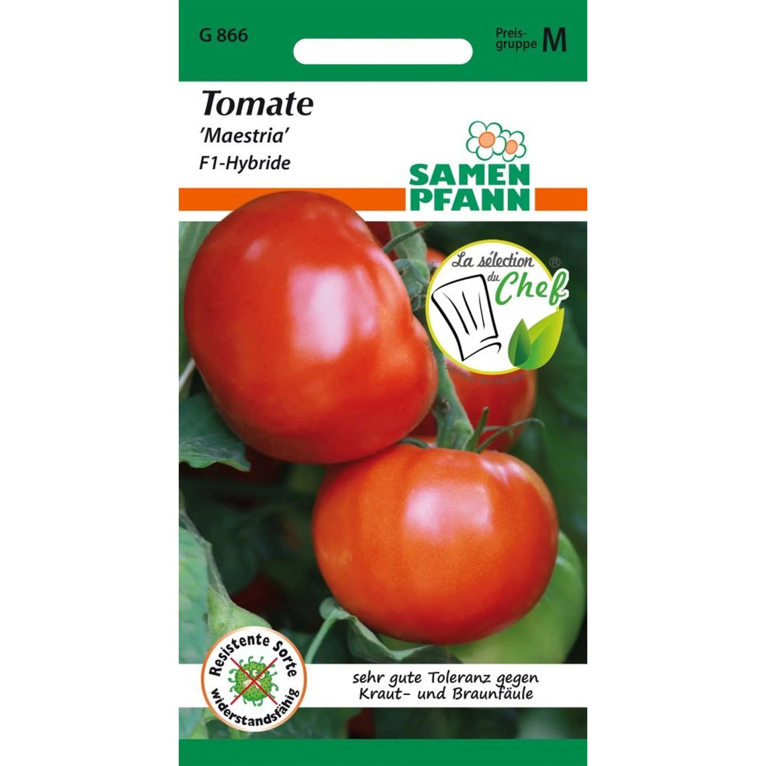 SAMEN PFANN Tomate Maestria F1 Bester Geschmack