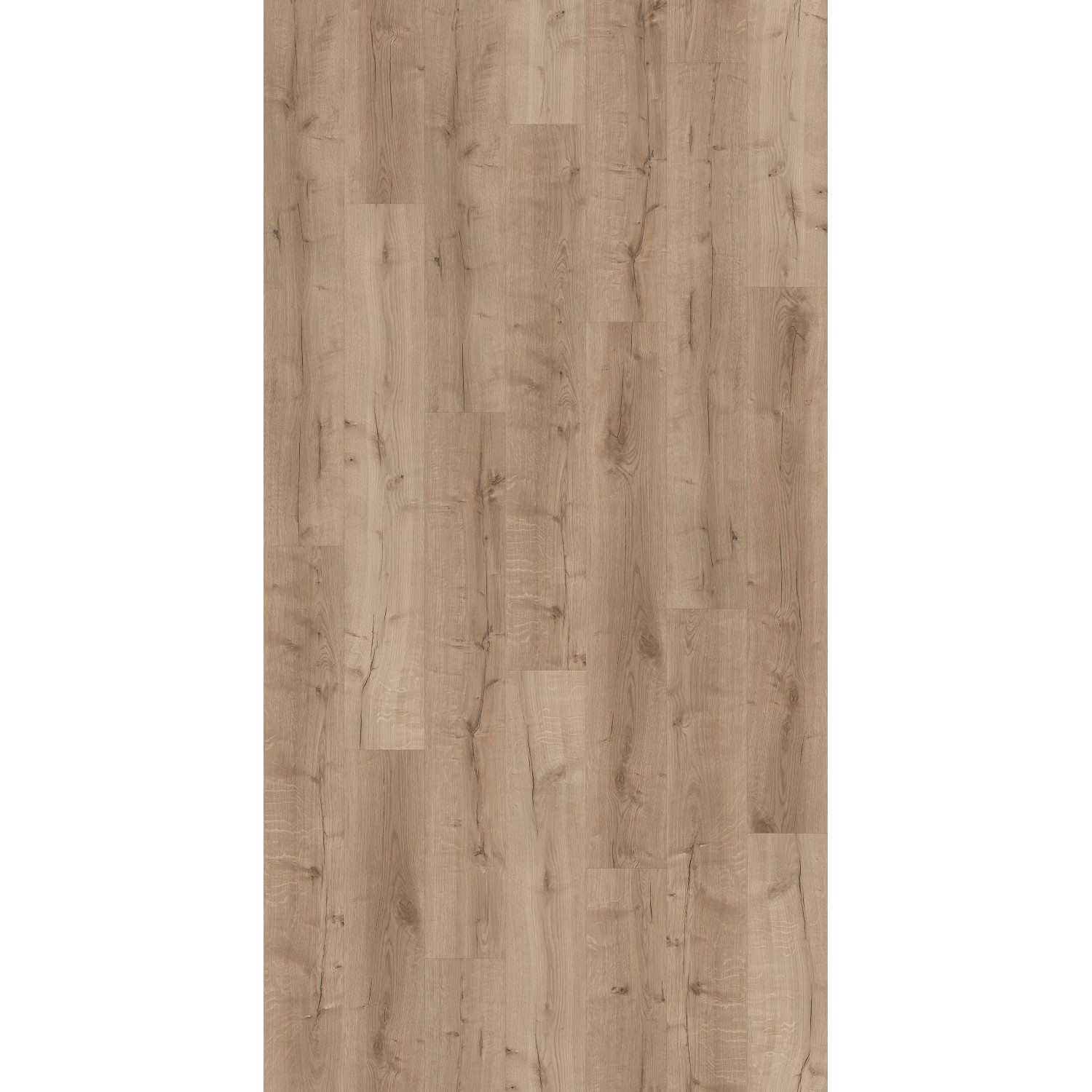 Decoflooring Klick-Vinylboden Eiche Rimini, Detailansicht der Holzoptik.