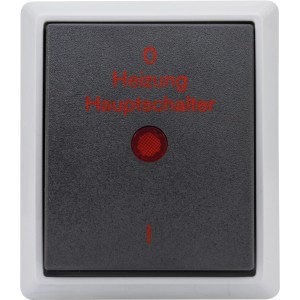 REV Heizung Hauptschalter AquaForm, grau, mit Glimmlampe, für Feuchträume.