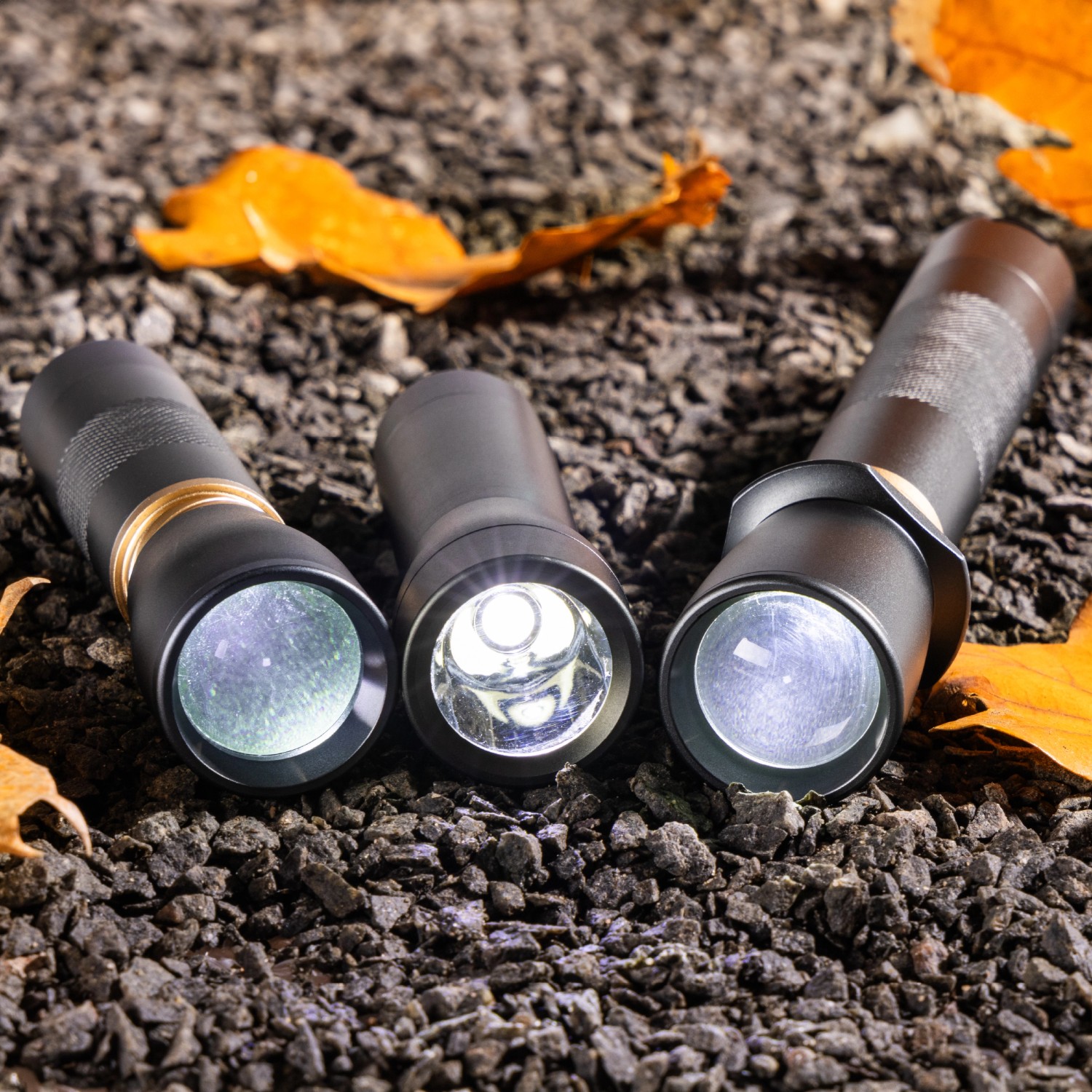 Drei LED's Work Taschenlampen, dimmbar und zoombar, auf dunklem Untergrund mit Blättern.