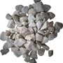 Weißes Colomi Orchideengranulat, ein mineralisches Substrat für optimales Wurzelwachstum.