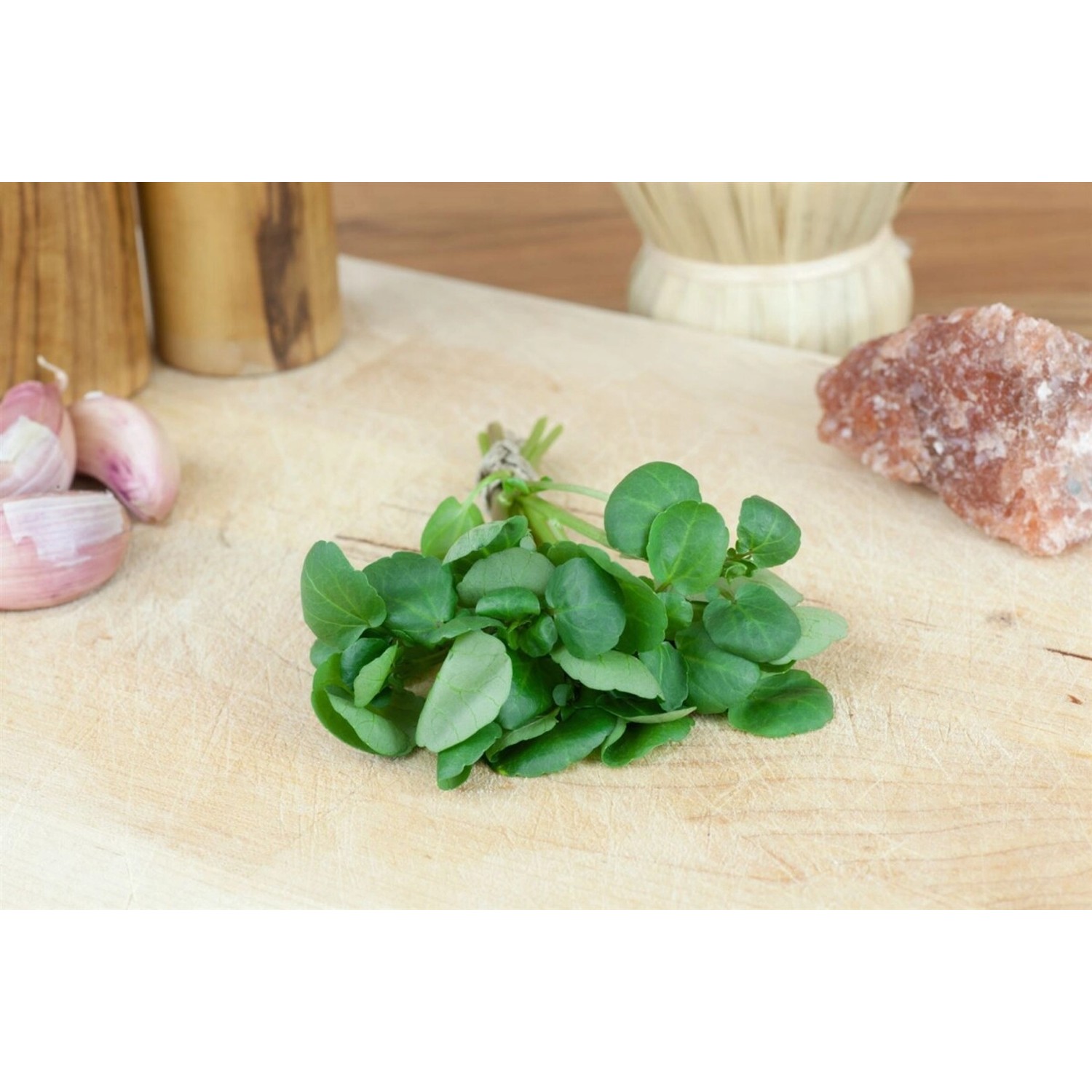 Nasturtium Officinale Brunnenkresse Ca. 9x9 cm Topf günstig online kaufen