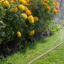 Gardena Schlauch-Regner (15 m, braun) bewässert Blumenbeet im Garten.