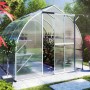 KGT Gewächshaus Alu blank 5,15 m² im Garten mit Pflanzen auf Regalen.