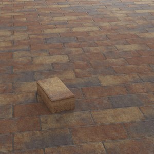 Rechteckiges Betonpflaster Herbstbunt (20x10x6 cm) verlegt, einzelner Stein hervorgehoben.