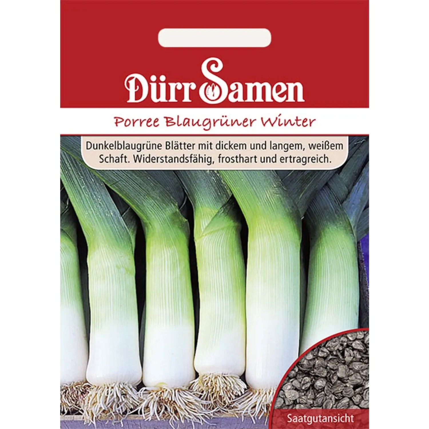 Dürr Samen Lauch Blaugrüner Winter Saatgut