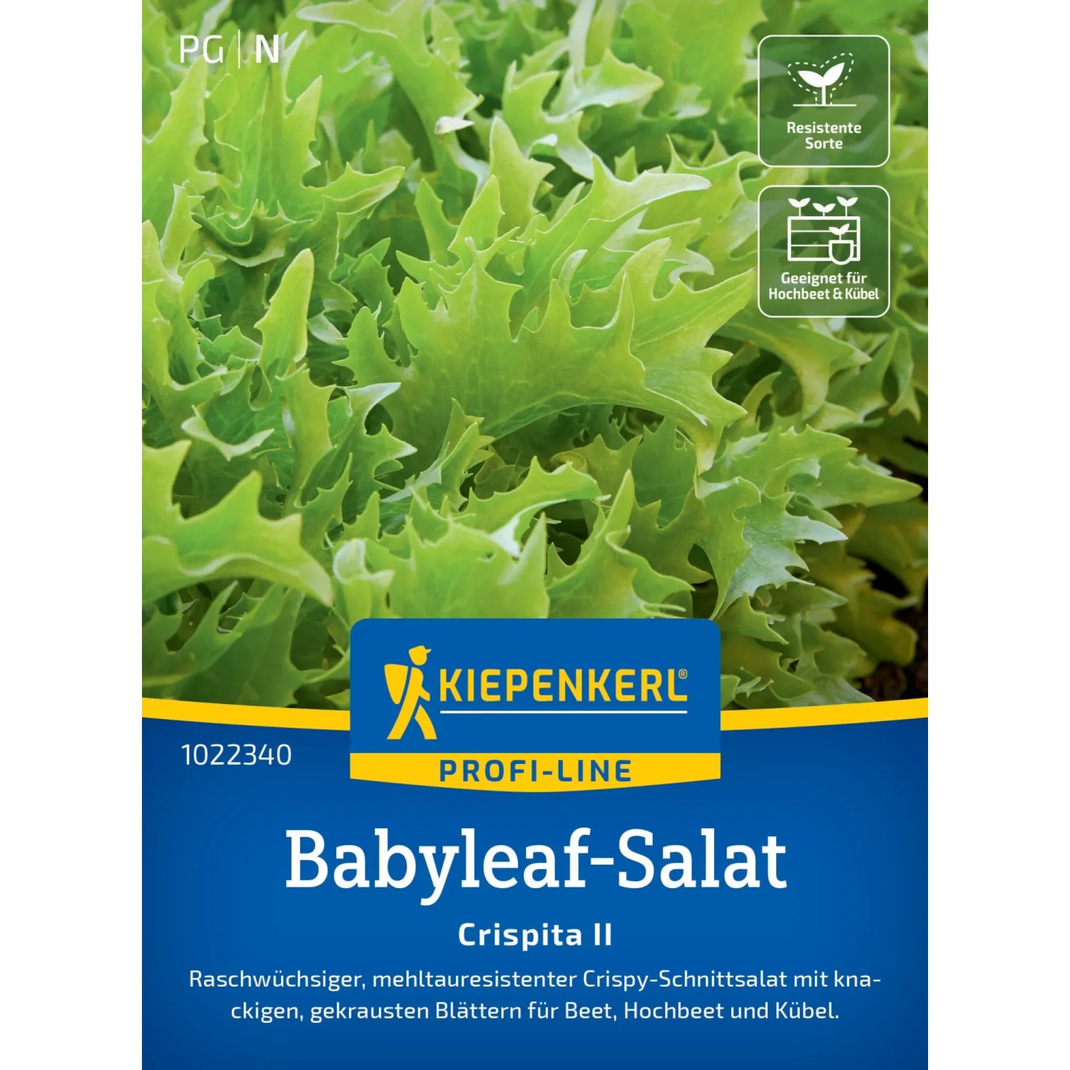 Kiepenkerl Profi-Line Salat "Crispita II"
